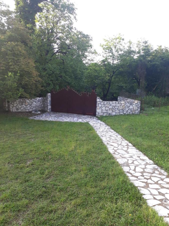 House At The Forest / Სახლი Ტყის Პირას Gordi Eksteriør billede